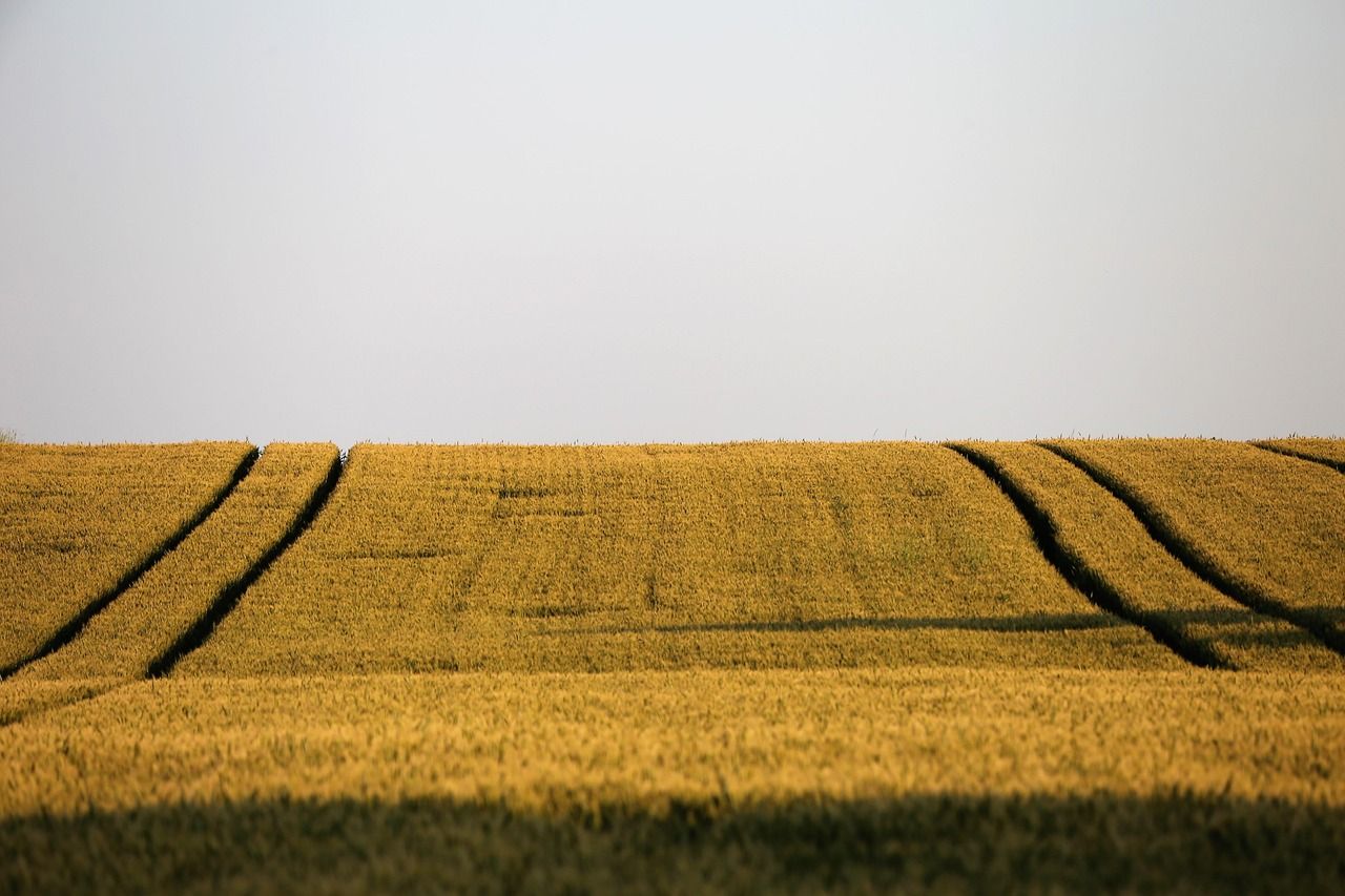 Agriculture